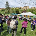 BioBlitz in una valle verde di Siena nell'ambito del progetto Siena BiodiverCity - Foto M. Martellucci